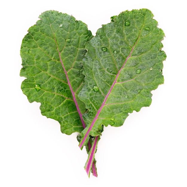 Hojas de col rizada fresca laicos plana en forma de corazón aislada sobre fondo blanco. La vista superior ama la comida orgánica saludable.