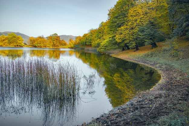 Hojas de colores en los árboles a lo largo del lago en otoño