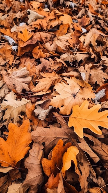 Las hojas coloridas caen en la temporada de otoño