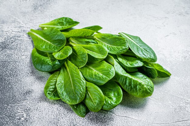 Hojas crudas de lechuga romana en la mesa de la cocina