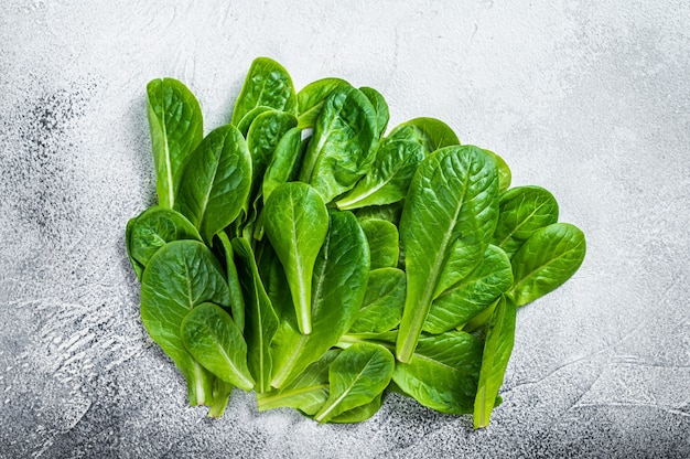 Hojas crudas de lechuga romana en la mesa de la cocina