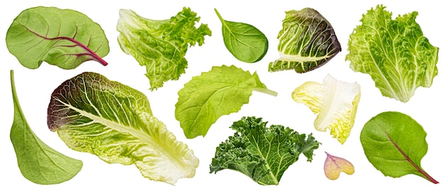Hojas de ensalada caídas aisladas en un fondo blanco mezcla de lechuga fresca, rucola, espinaca y diferentes hojas microverdes