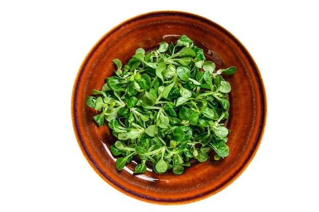 Hojas de ensalada de maíz verde fresco en un plato rústico aislado sobre fondo blanco.