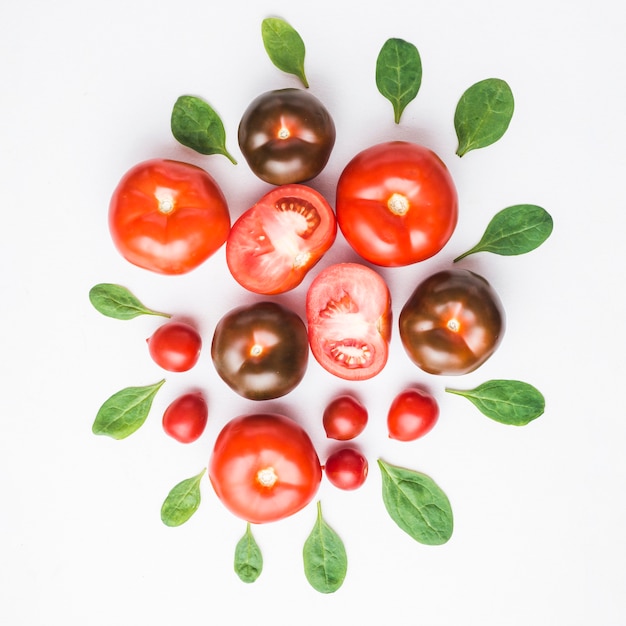 Hojas de espinaca alrededor de los tomates