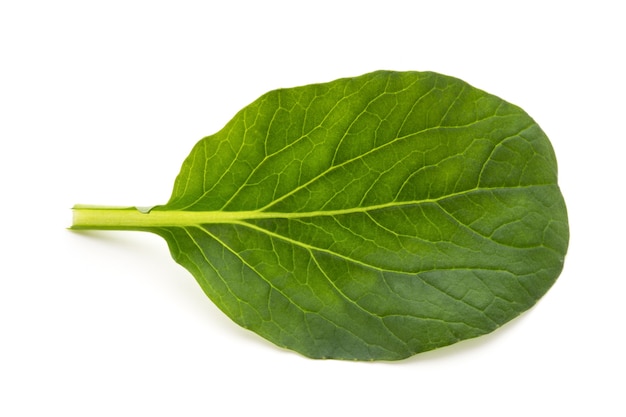 Foto hojas de espinaca cerca aisladas en blanco.