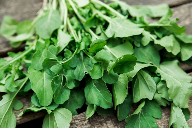 Hojas de espinaca orgánica fresca verde directamente del jardín, cultivo de verduras, estilo de vida saludable