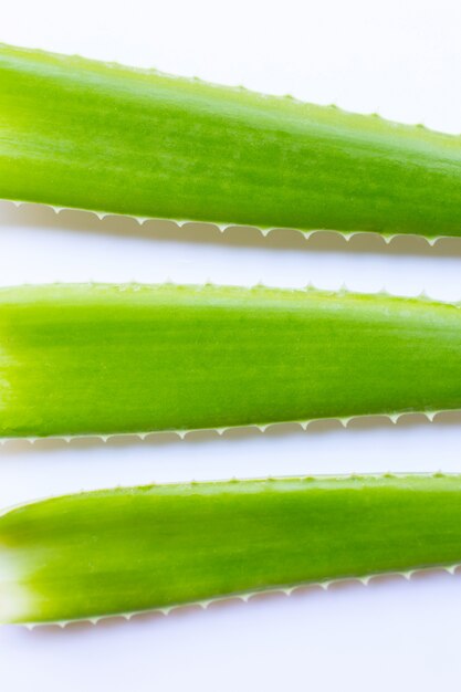 Hojas frescas de Aloe Vera en blanco