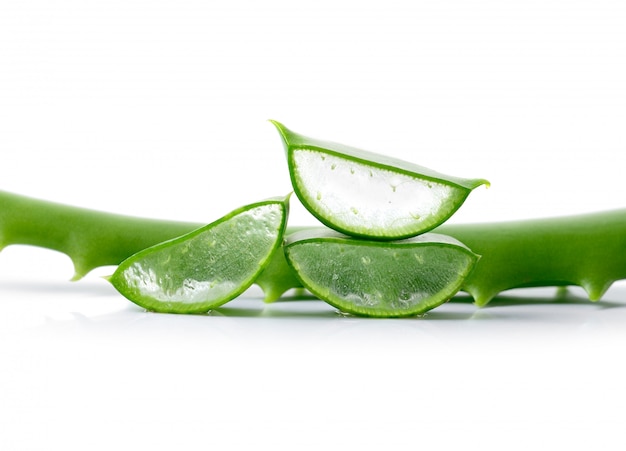 Hojas frescas de aloe vera en espacio en blanco