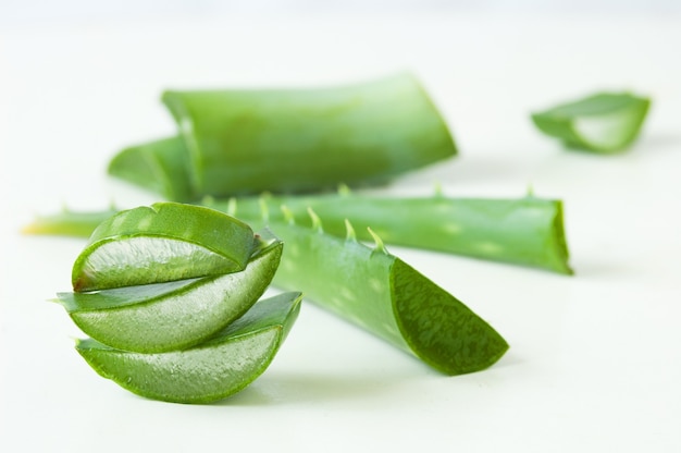 Hojas frescas de aloe vera con gotas de agua