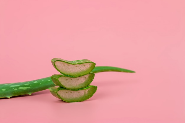 Hojas frescas de aloe vera y rodajas sobre fondo rosa pastel para productos de salud y belleza.