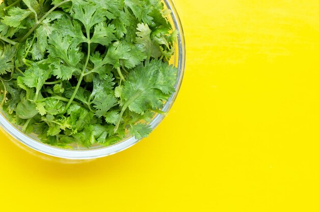 Foto hojas frescas de cilantro sobre un fondo amarillo