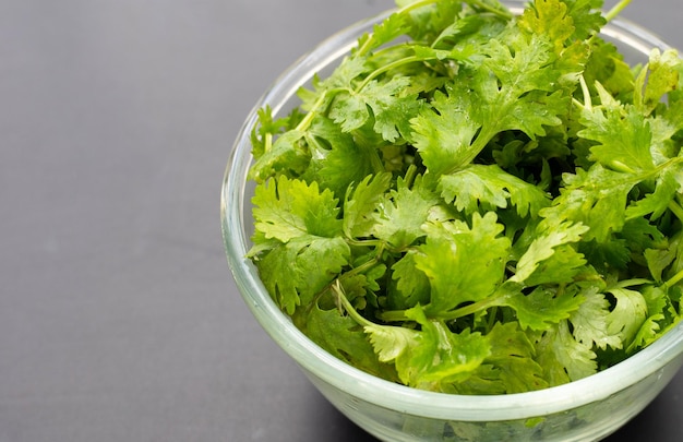 Foto hojas frescas de cilantro sobre un fondo oscuro