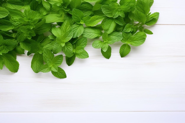 Hojas frescas de menta orgánica sobre un fondo de madera blanca