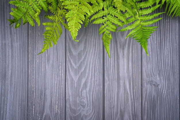 Hojas de helecho verde sobre fondo de madera de roble marrón con espacio de copia