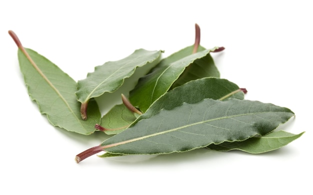 Hojas de laurel aromáticas aisladas en un recorte de fondo blanco