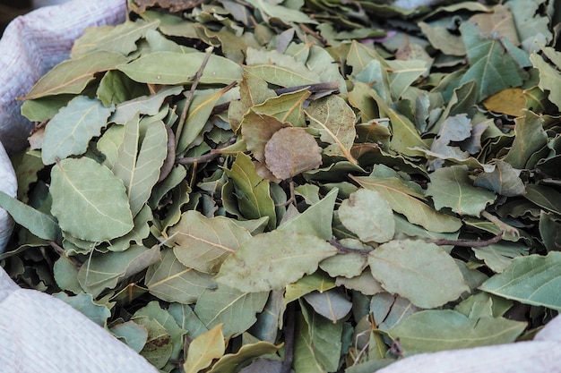 Hojas de laurel de bahía secas en exhibición en el mercado callejero en Marruecos