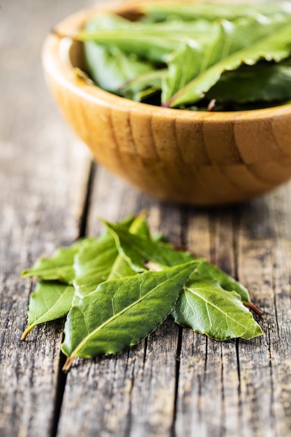 Hojas de laurel verdes frescas sobre mesa de madera