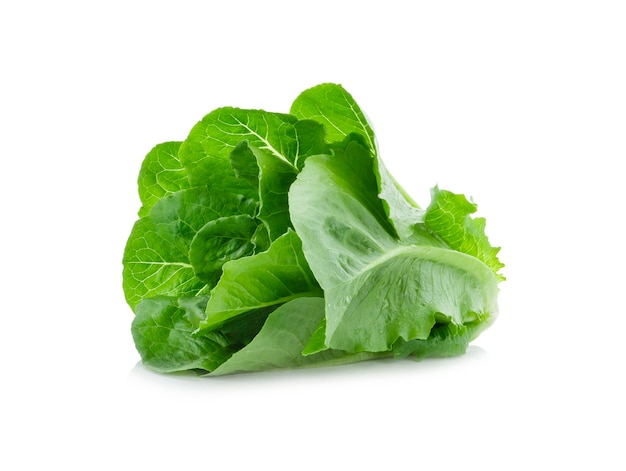 Hojas de lechuga aisladas en blanco.