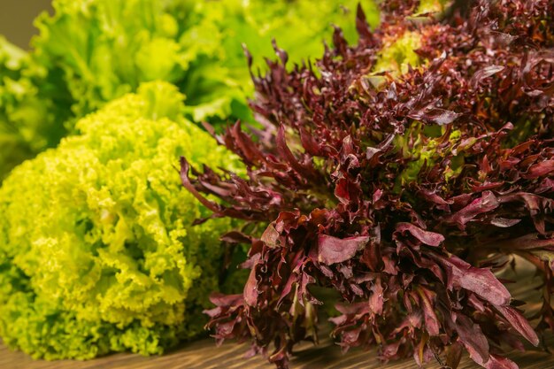 Hojas de lechuga y albahaca sobre un fondo de madera Condimento para la cocina Vegetación