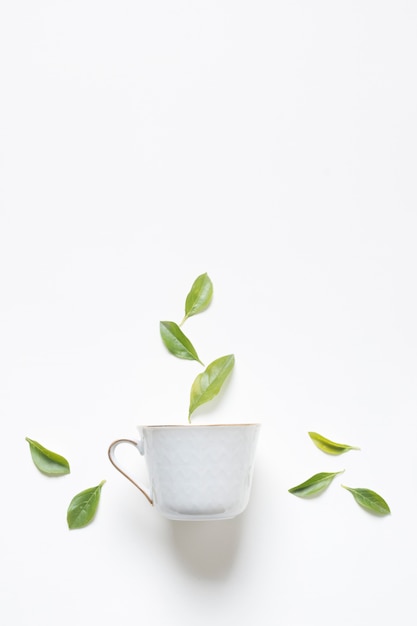 Hojas de limón verde herbal sobre la taza de té contra un fondo blanco