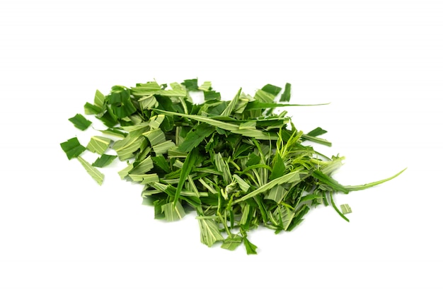 Las hojas de marihuana verde son hierbas para el tratamiento del cáncer aislado sobre fondo blanco.