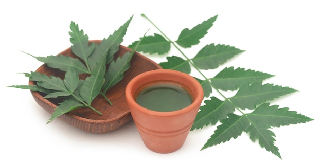 Hojas medicinales de neem con extracto