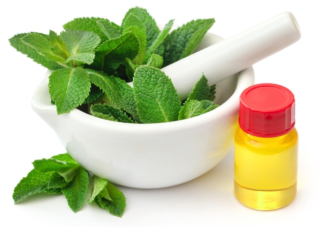 Hojas de menta con aceite esencial en una botella sobre fondo blanco.