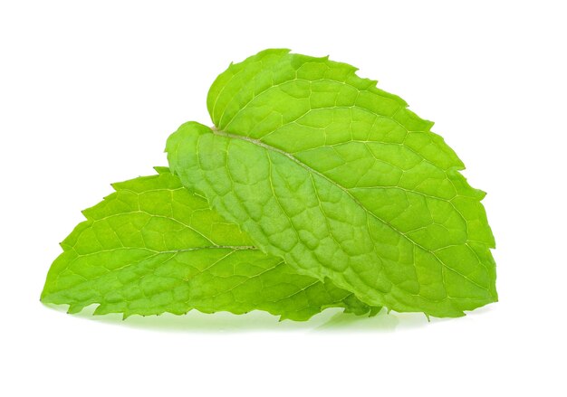 Toque fresco con menta en la sandía