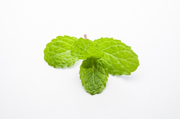 Hojas de menta aisladas sobre fondo blanco