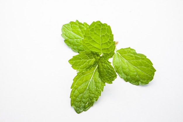 Hojas de menta aisladas sobre fondo blanco.