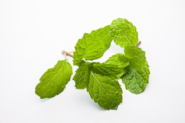 Hojas de menta aisladas sobre fondo blanco.