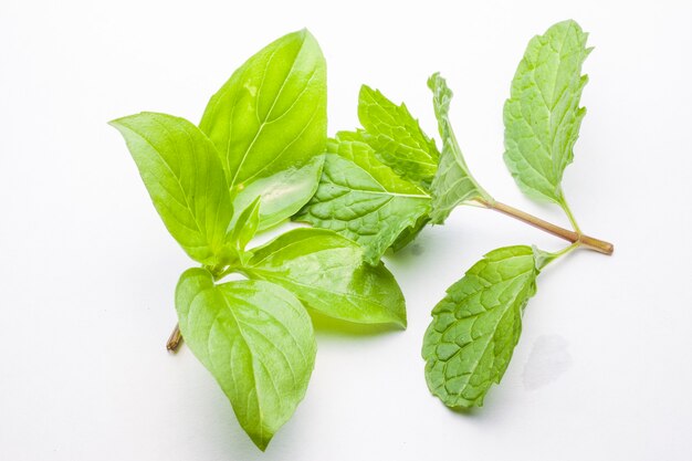 Hojas de menta y albahaca aislado sobre fondo blanco.