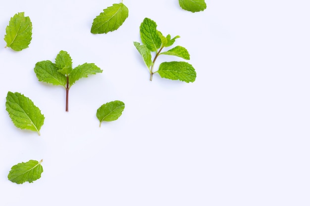 Hojas de menta fresca aisladas sobre mesa blanca. Copia espacio