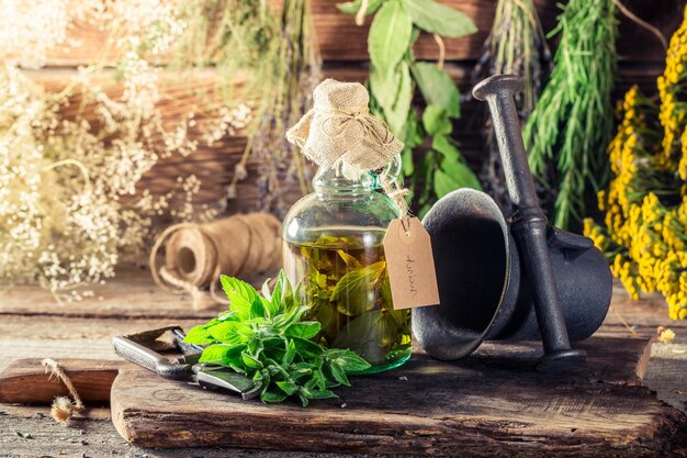 Hojas de menta fresca en botellas como cura terapéutica