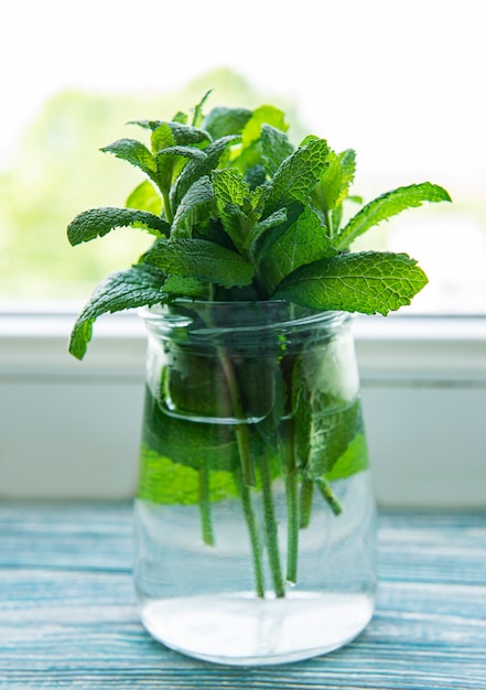 Hojas de menta fresca en un frasco de vidrio pequeño