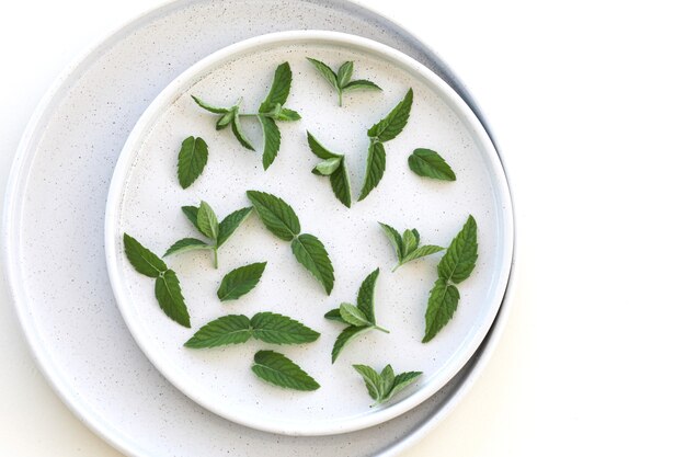 Hojas de menta fresca en un plato aislado sobre fondo blanco, vista superior, espacio de copia plana laicos