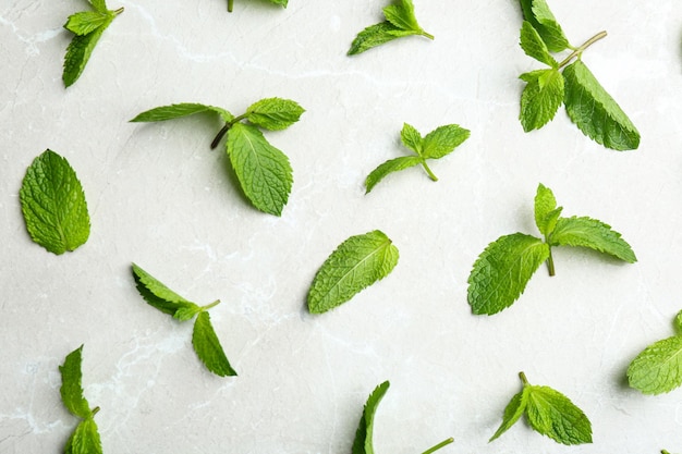 Foto hojas de menta fresca sobre fondo de mármol gris plano