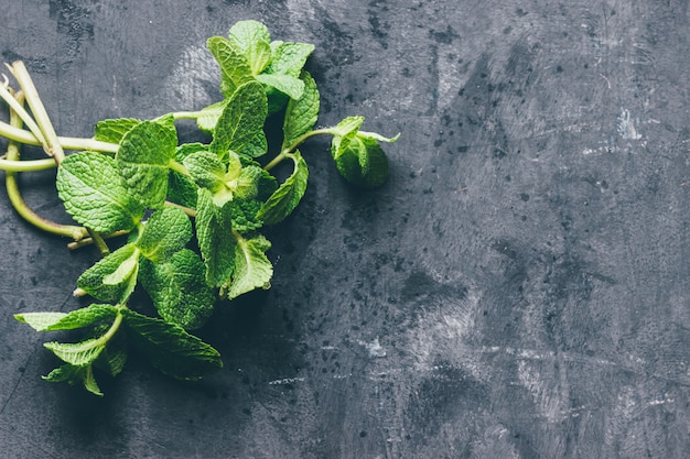 Hojas de menta en una mesa de cemento