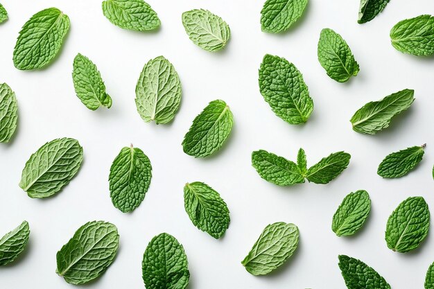 Hojas de menta que forman un patrón de flujo diagonal con un efecto de enfoque suave sobre un fondo blanco