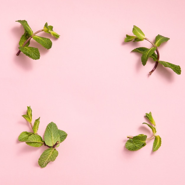 Hojas de menta en superficie rosa