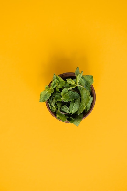 Hojas de menta verde fresca sobre fondo amarillo espacio plano para texto