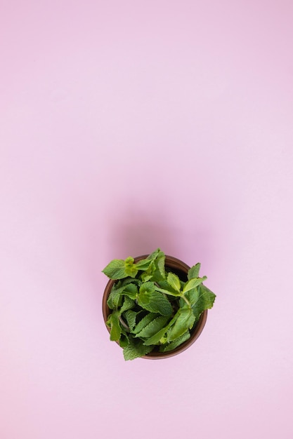 Hojas de menta verde fresca sobre fondo rosa espacio plano para texto