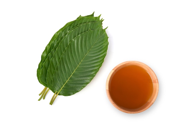 Hojas de Mitragyna speciosa Korth Kratom, agua de Mitragyna speciosa aislada sobre fondo blanco