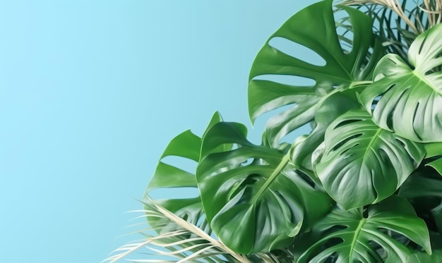 Hojas de monstera tropical sobre un fondo azul pastel con espacio de copia vacío Concepto de hoja verde de selva Lay plano Creado con herramientas generativas de IA