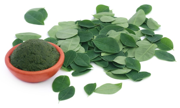 Hojas de moringa comestible con pasta molida en una alfarería