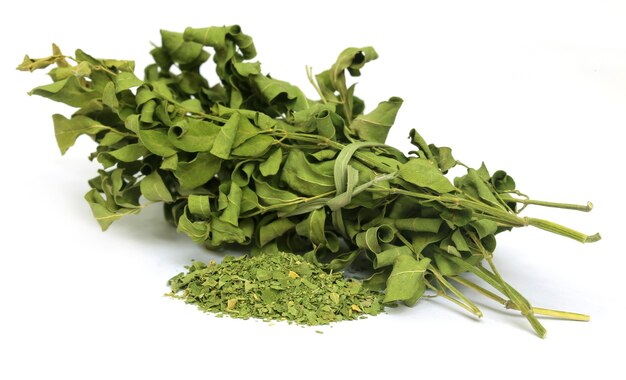 Hojas de moringa secas sobre fondo blanco.