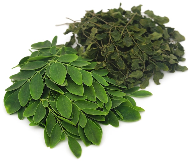 Hojas de moringa