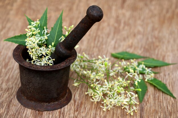 Hojas de neem medicinales y flores en un mortero vintage