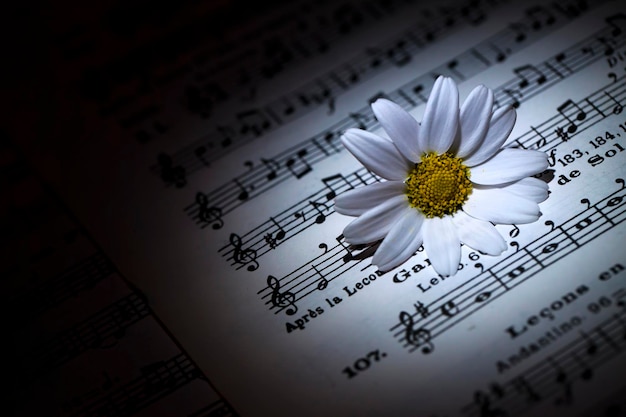 Foto hojas de notas musicales de margaritas de flores y luz de velas