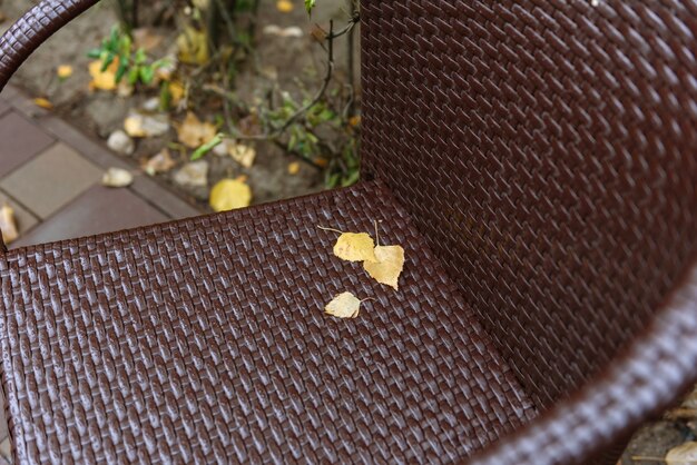 Hojas de otoño amarillas en una silla de mimbre marrón en la terraza de una pequeña cafetería